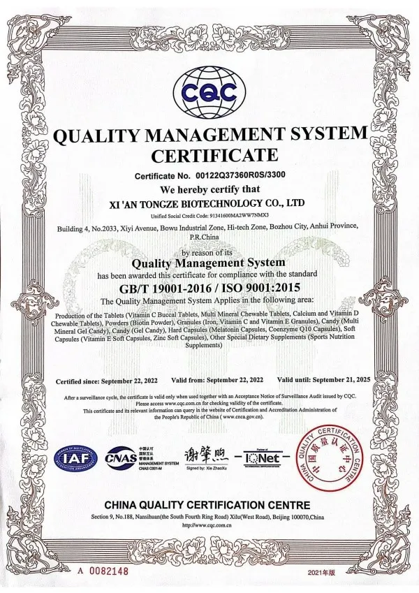 ISO9001